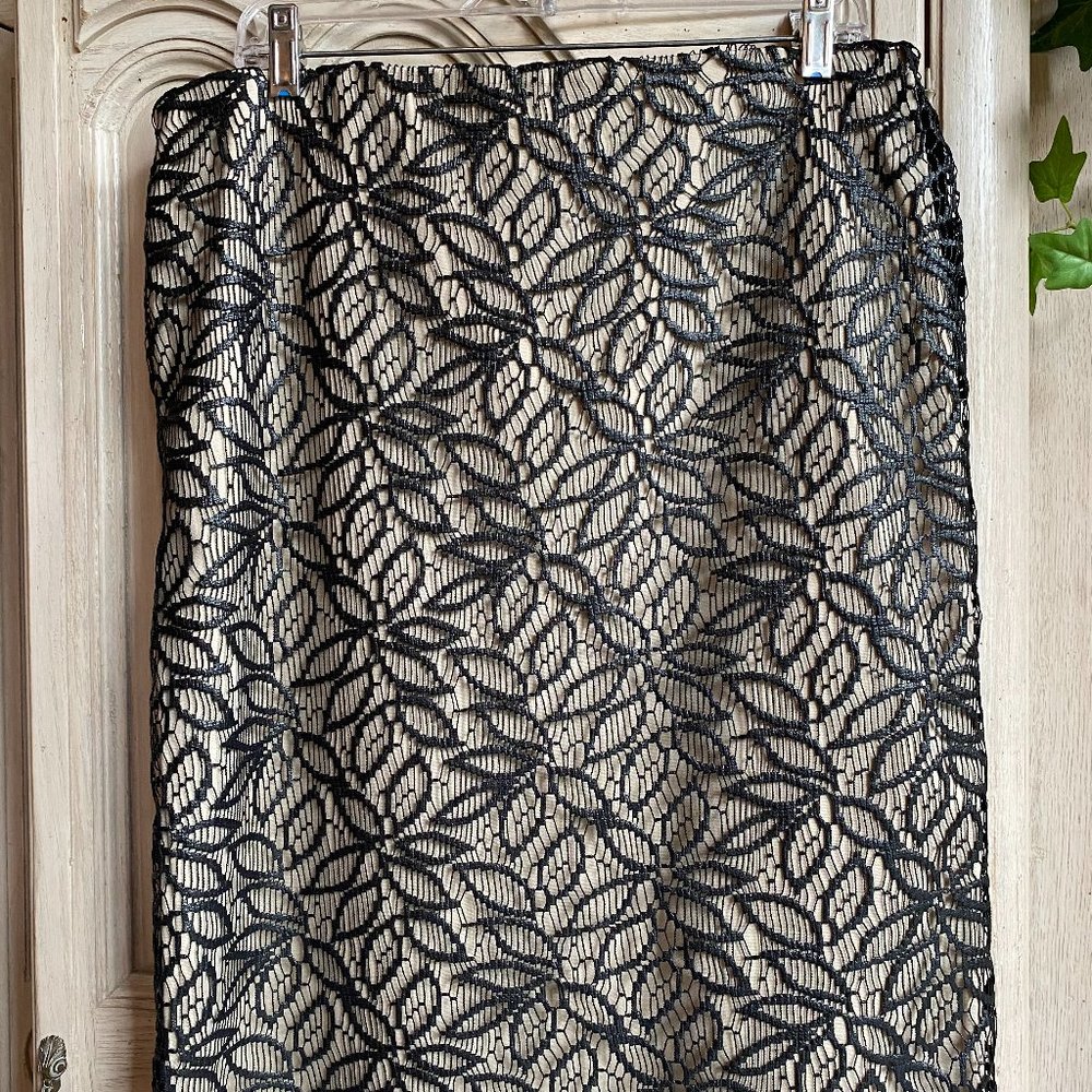 Ann Taylor Lace Skirt